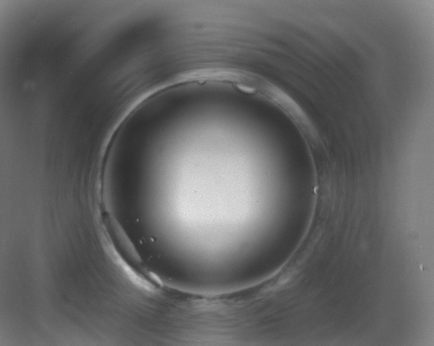 X0000083600852200702091218