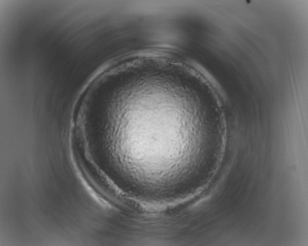 X0000083600853200702091218