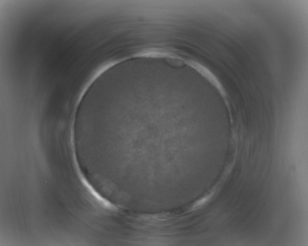 X0000083600855200702091218