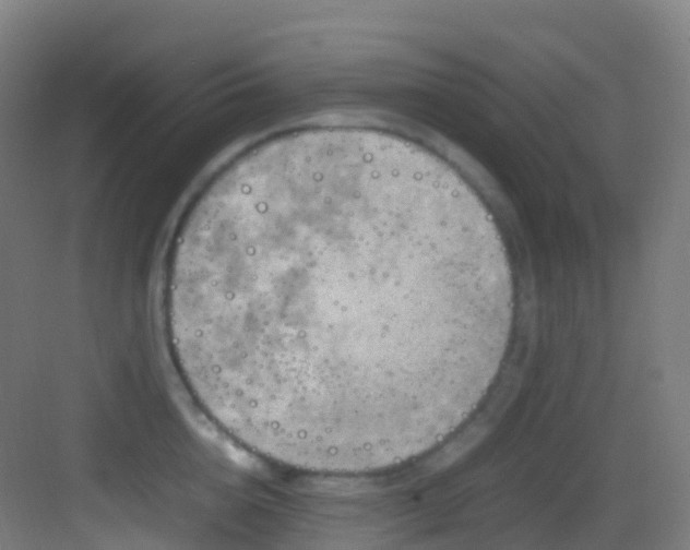 X0000083600856200702091218