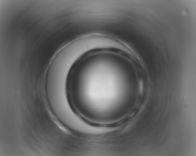 X0000083600858200702091218