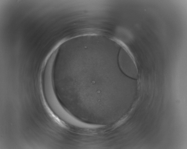 X0000083600859200702091218