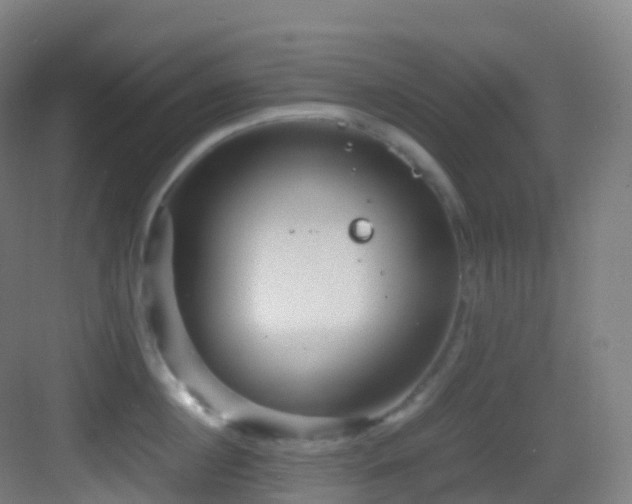 X0000083600860200702091218