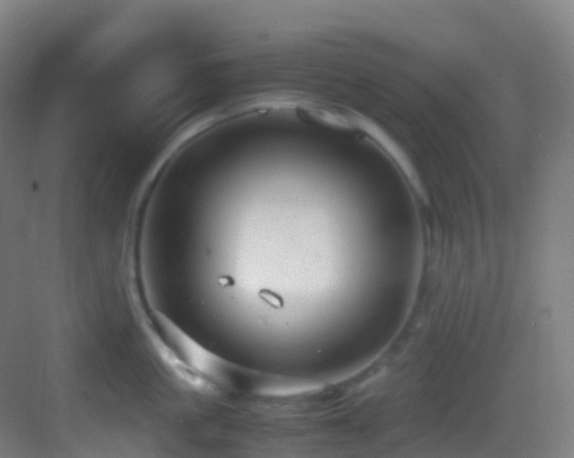 X0000083600861200702091218