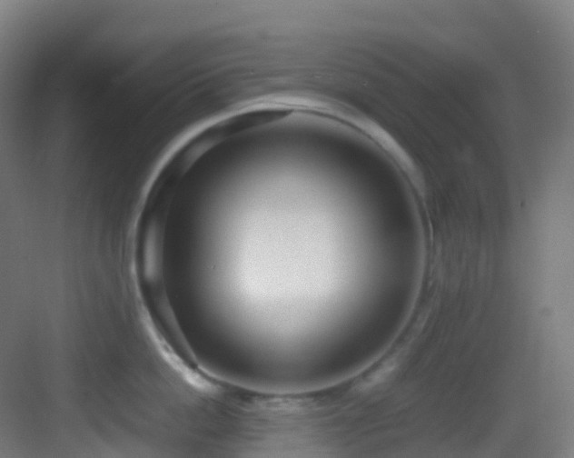 X0000083600862200702091218