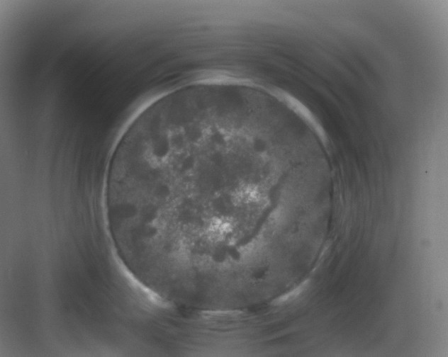 X0000083600863200702091218