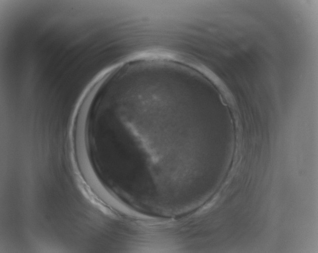 X0000083600864200702091218