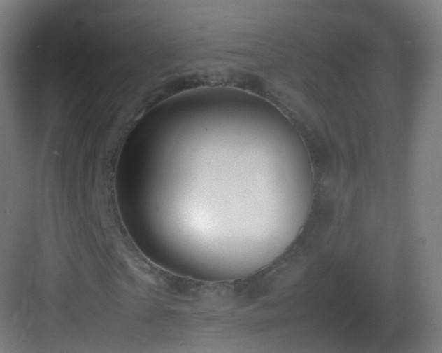 X0000083600865200702091217