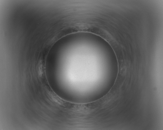 X0000083600866200702091217