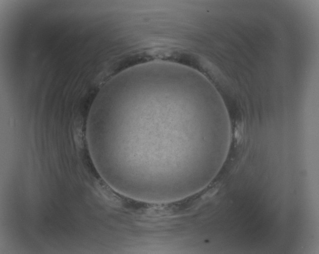 X0000083600867200702091217