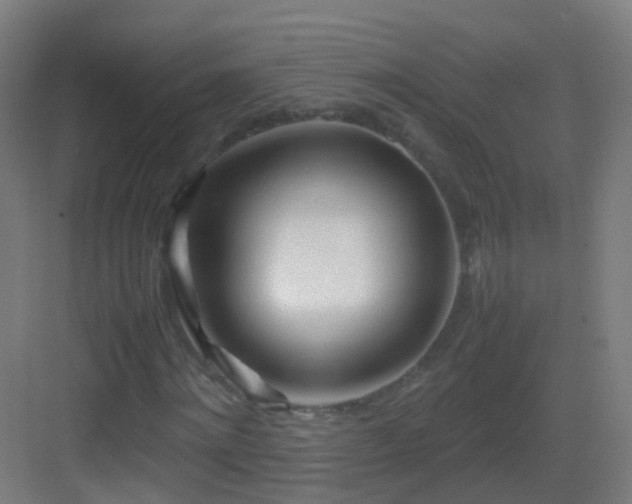 X0000083600868200702091217