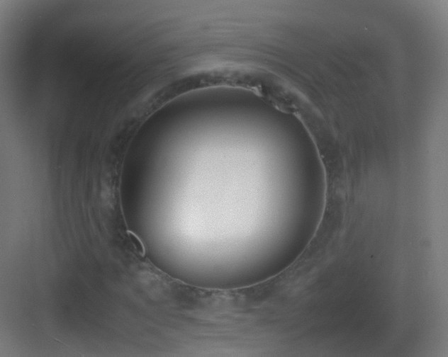 X0000083600869200702091217