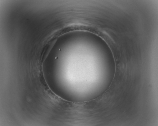 X0000083600870200702091217