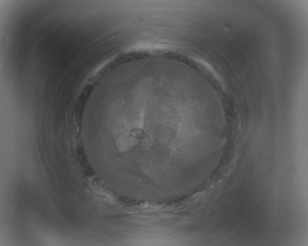 X0000083600871200702091217