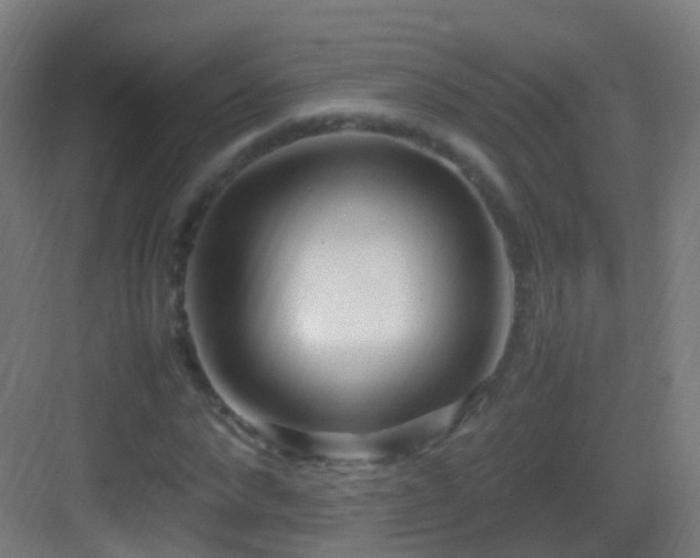 X0000083600872200702091217