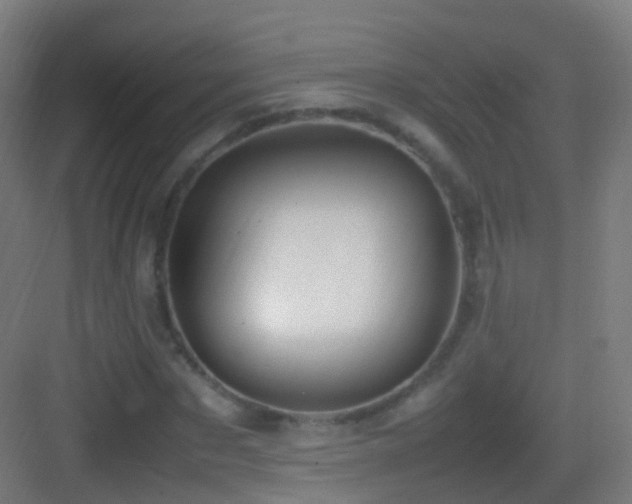 X0000083600873200702091217