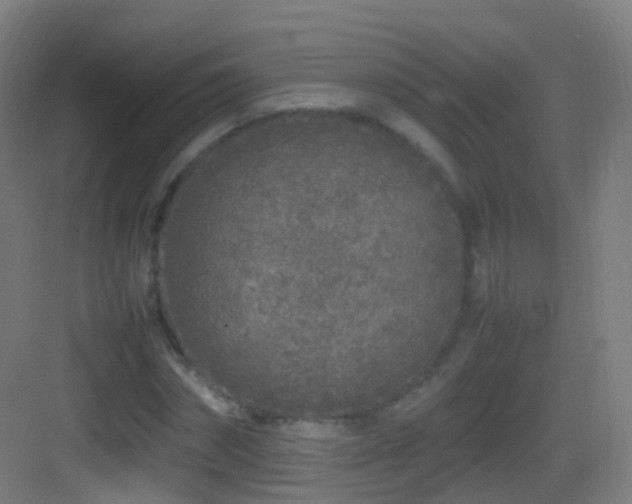 X0000083600874200702091217