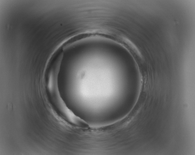 X0000083600876200702091217