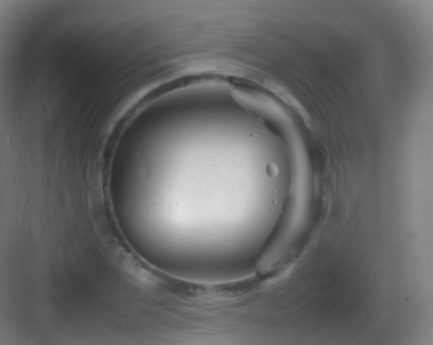 X0000083600877200702091217