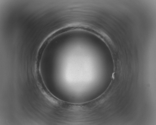 X0000083600880200702091217