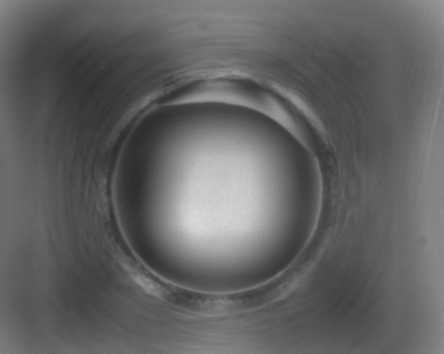 X0000083600881200702091217