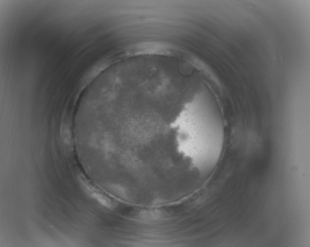 X0000083600882200702091217