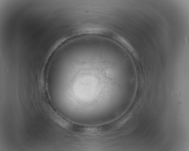 X0000083600883200702091217