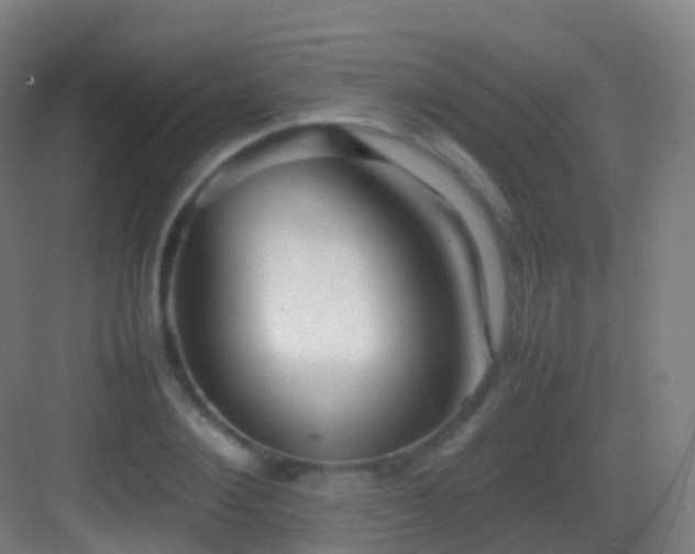 X0000083600884200702091217