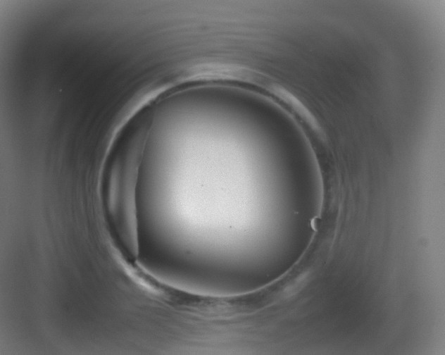 X0000083600885200702091217