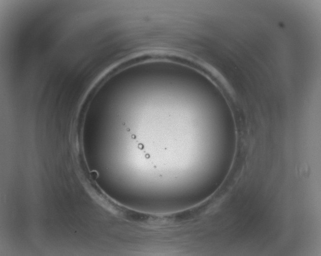 X0000083600887200702091217