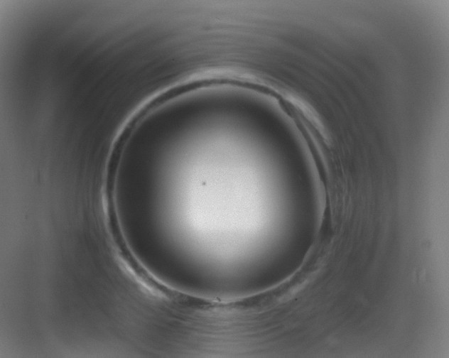 X0000083600888200702091217