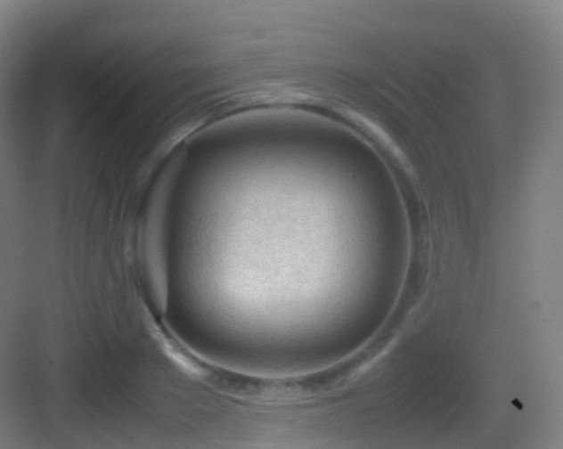 X0000083600889200702091217