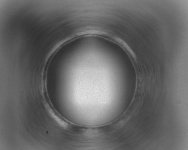 X0000083600890200702091217