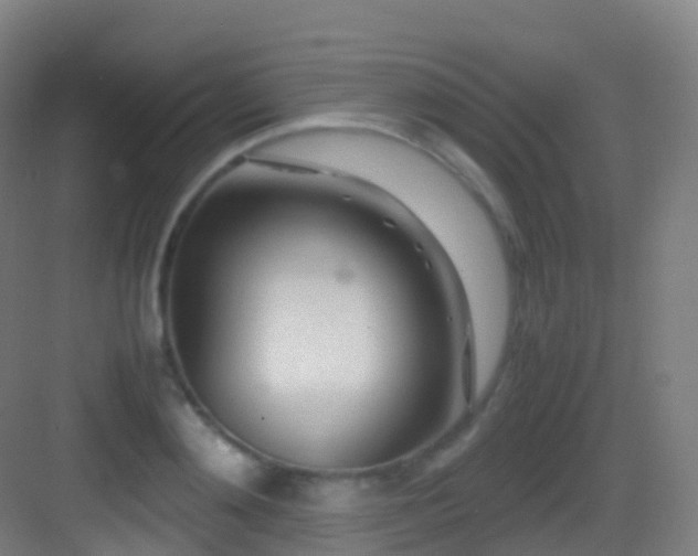 X0000083600892200702091217