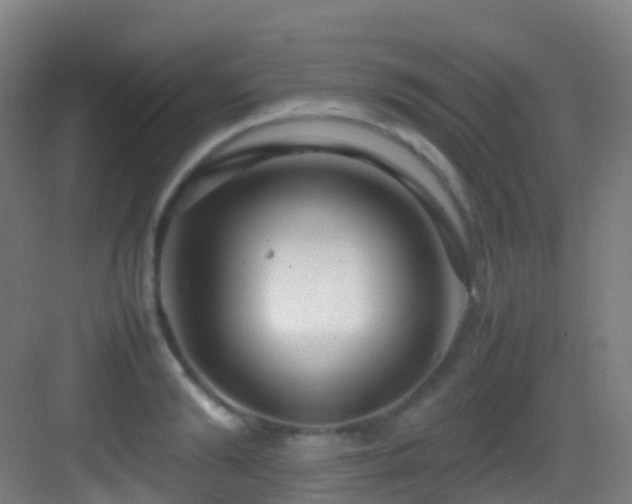 X0000083600894200702091217