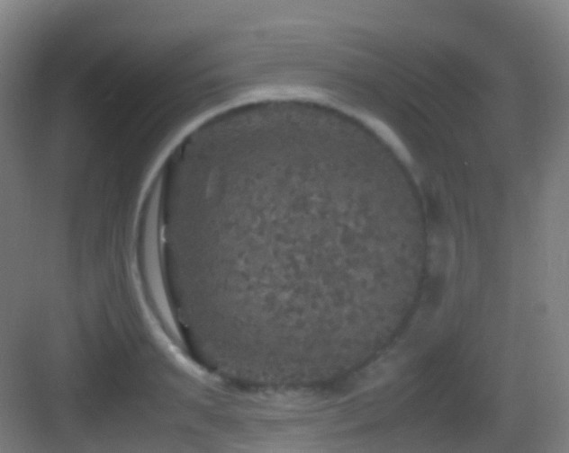 X0000083600895200702091217