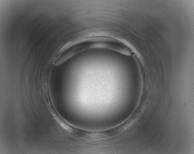 X0000083600897200702091217