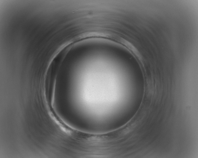 X0000083600898200702091217