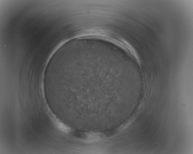 X0000083600899200702091217