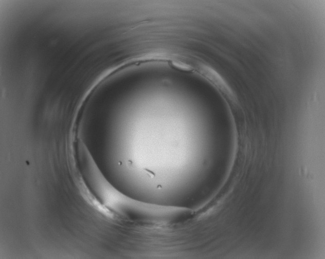 X0000083600900200702091217