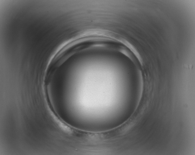 X0000083600901200702091217