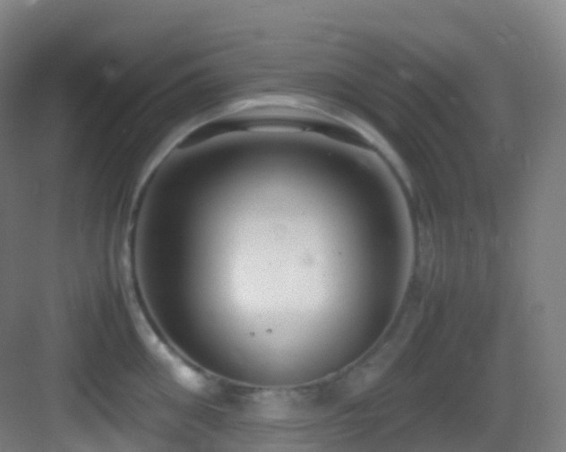 X0000083600906200702091217