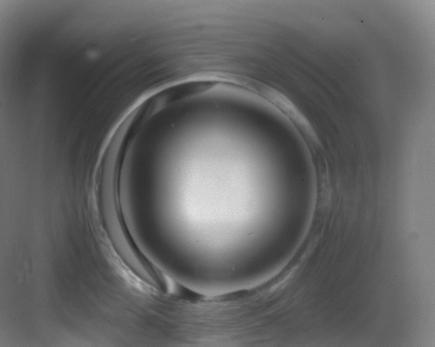 X0000083600908200702091217