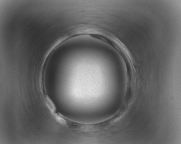 X0000083600909200702091217