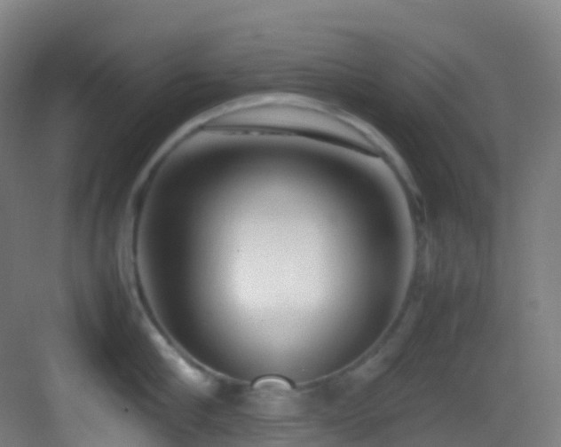 X0000083600910200702091217