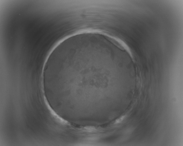 X0000083600911200702091217