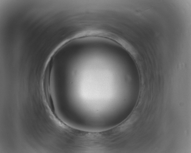 X0000083600912200702091217