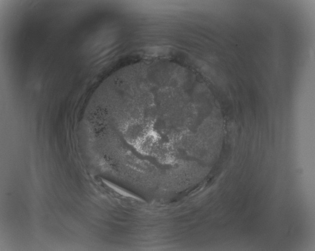 X0000083600913200702091216