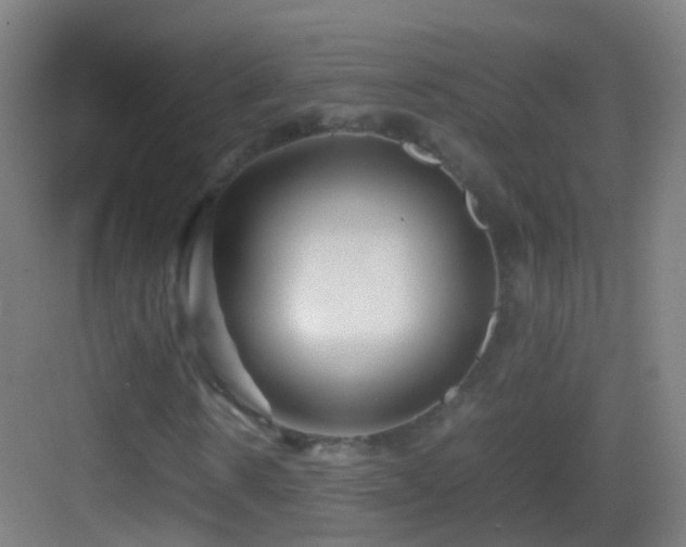 X0000083600914200702091216