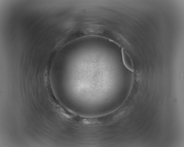 X0000083600915200702091216